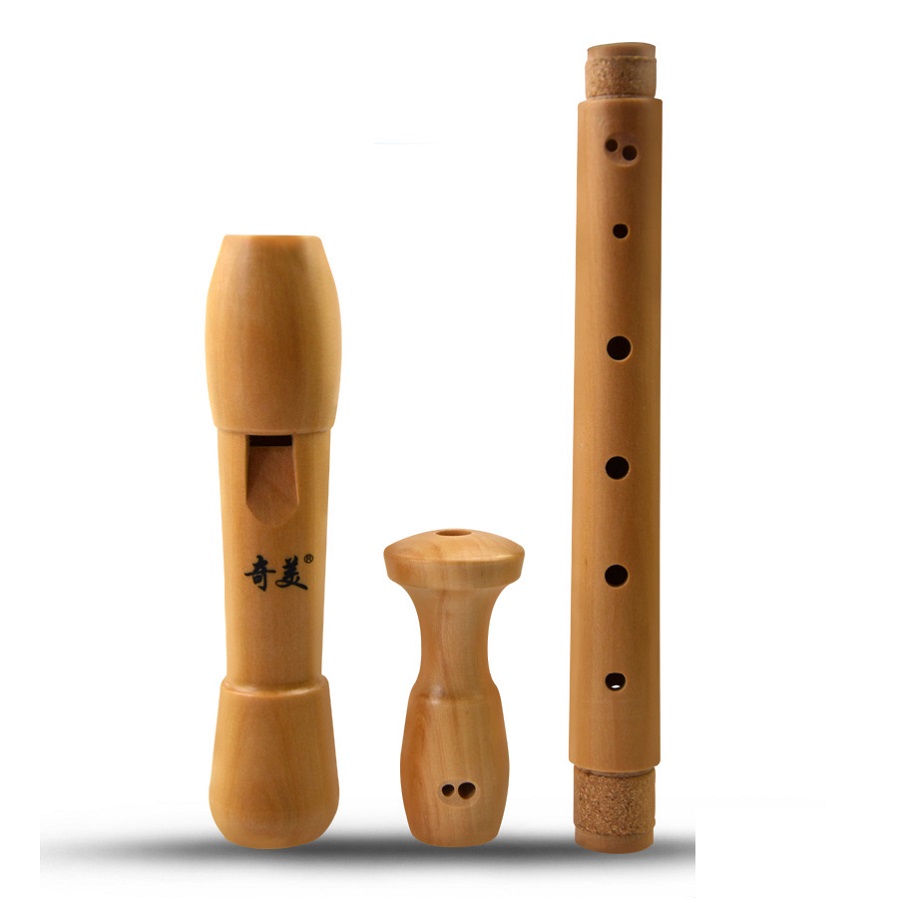 Qimei 8 Holes Alto Recorder Mu - Musical Instrument German recension och pris