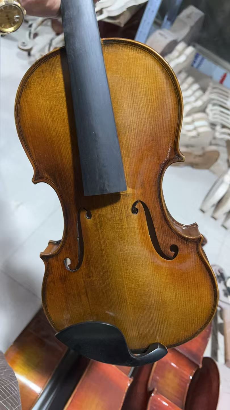 Musical Instruments 4/4 Carvin - Musical Instruments Online recension och pris