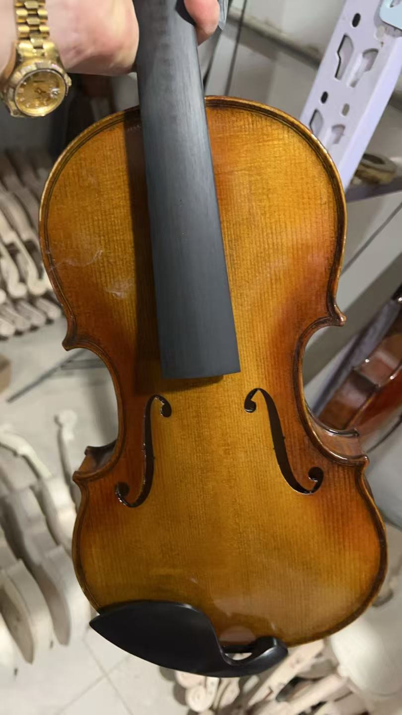 Musical Instruments 4/4 Carvin - Musical Instruments Online recension och pris