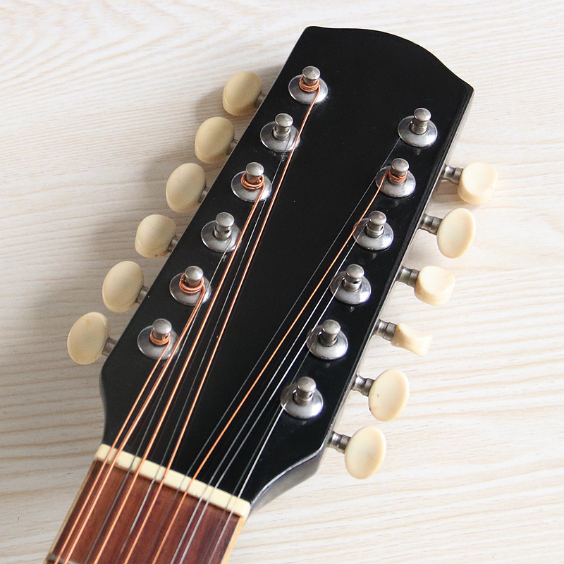 Stock 12 String Electric Acous - Dobro Resonator Guitar recension och pris