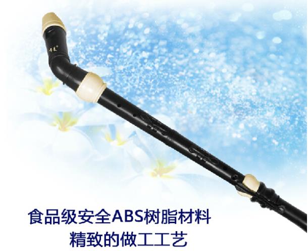 Professional 8 Holes Baroque B - Musical Instrument In Chinese recension och pris