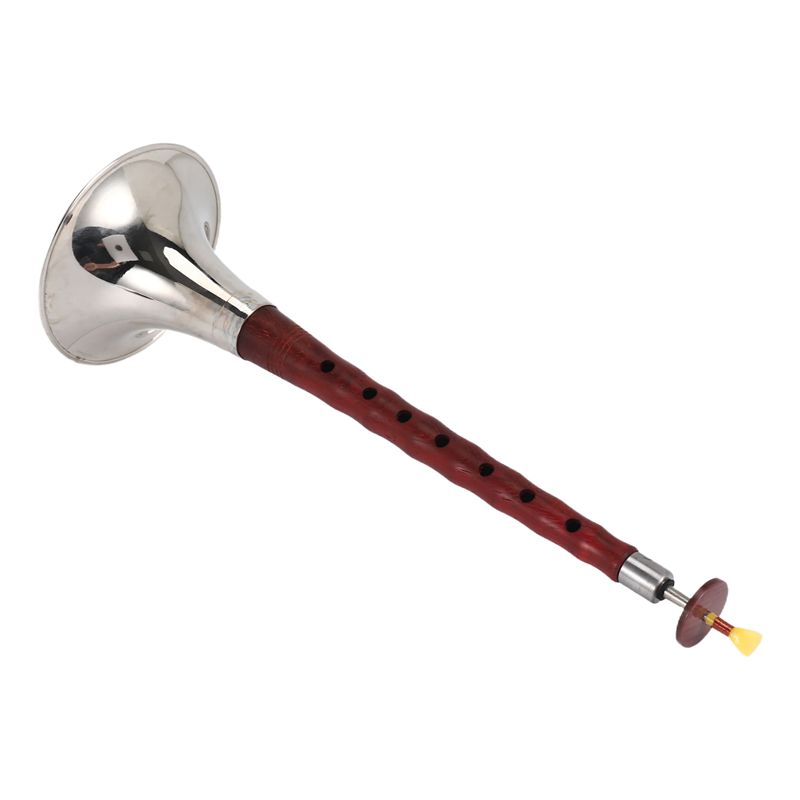 A12E-Chinese Folk Wind Musical - Musical Instrument Zurna recension och pris