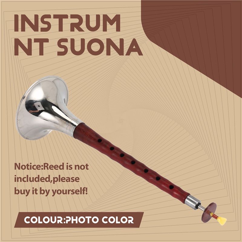 A12E-Chinese Folk Wind Musical - Musical Instrument Zurna recension och pris