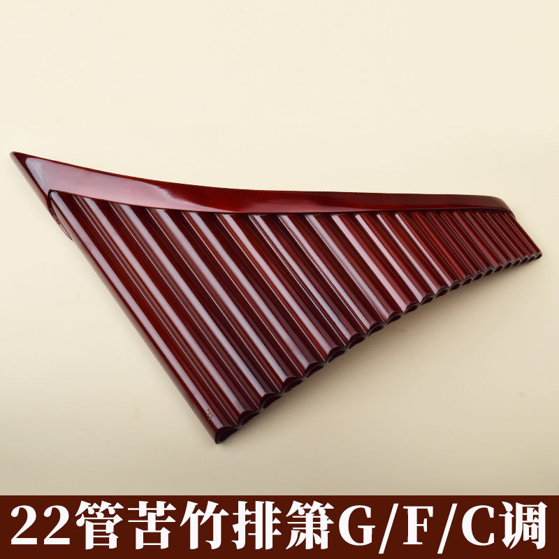Pan Flute 22 Pipes, High-Quali - Musical Instrument For Beginners recension och pris